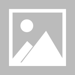 188登录-5年合约锁定若塔替身，利物浦曼联争夺，斯洛特敢不怕赔钱吗